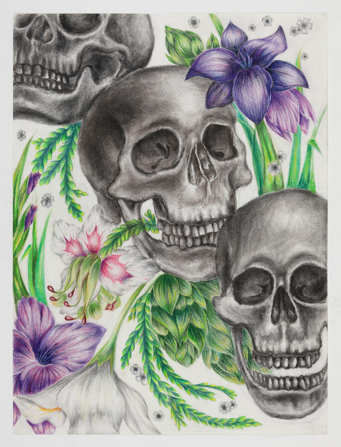 Charcoal and color pencil