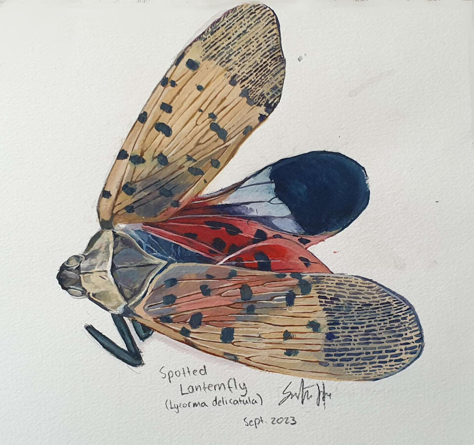 Gouache